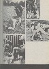 1973 AAHS 004 - pg 29